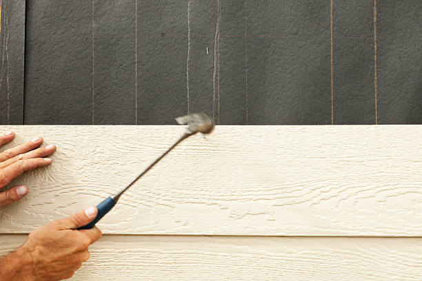 Best Siding Removal and Disposal  in Scotts Hill, TN